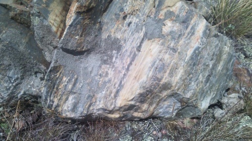 Гигантские зелёные валуны для ландшафтного дизайна весом более 5 тонн купить в Новокузнецке